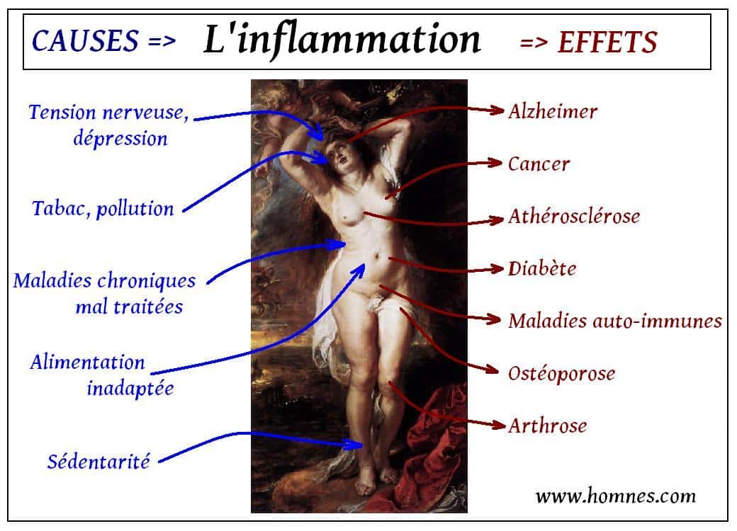 Inflammation (causes & conséquences)