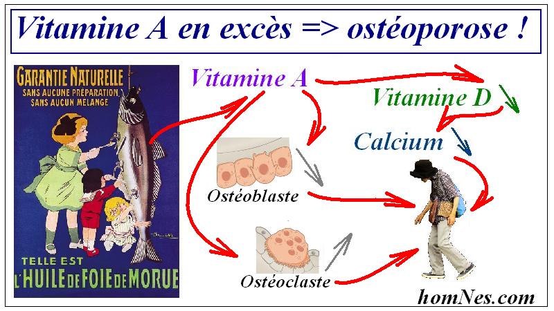 Vitamine A & Ostéoporose - homnes.com