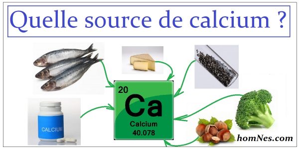 Quels Suppléments Pour Toujours Atteindre La Bonne Dose De Calcium ...