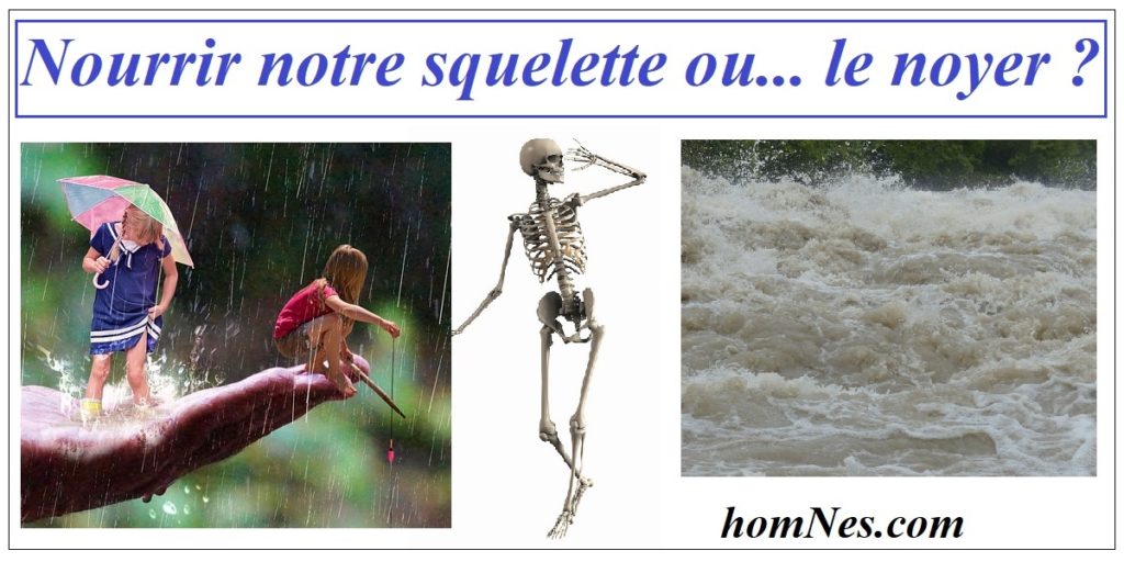 Nourir ou noyer notre squelette - ostéoporose